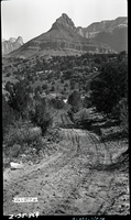 Truck trail to petrified forest area and west boundary. [Chinle Trail]