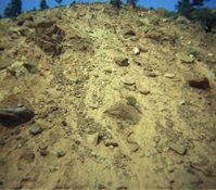Color Photos of rock slides in Kolob Canyon.