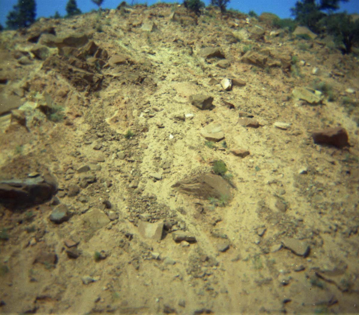 Color Photos of rock slides in Kolob Canyon.