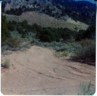 Dirt road and landscape in Kolob Canyon.