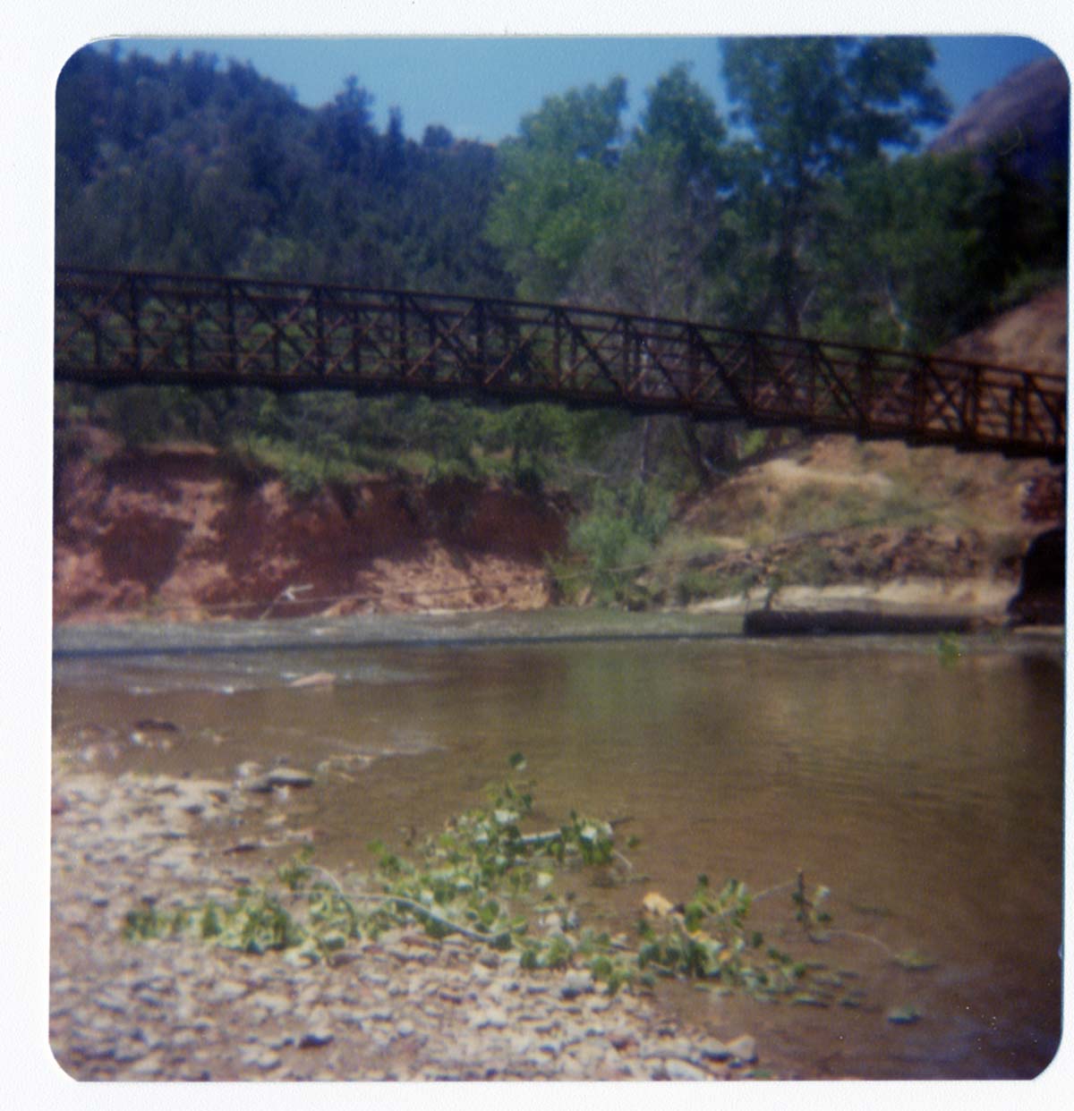 The completed Birch Creek footbridge following its arrival and replacement.