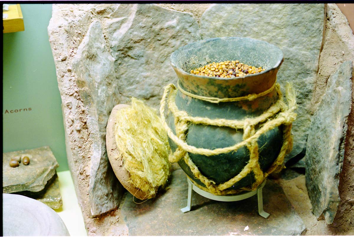 Color photos of prehistoric jar (North Creek Gray) display.