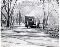 Leaf gathering in South Campground.