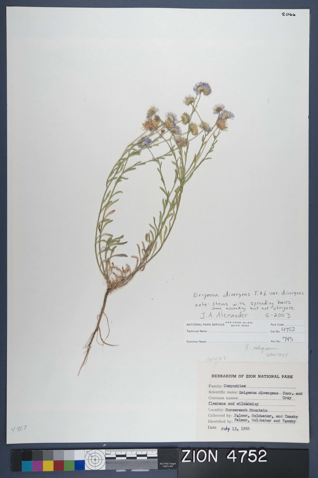 Herbarium Specimen Sheet 4752