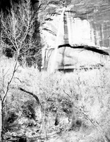 Waterfall at Weeping Rock.
