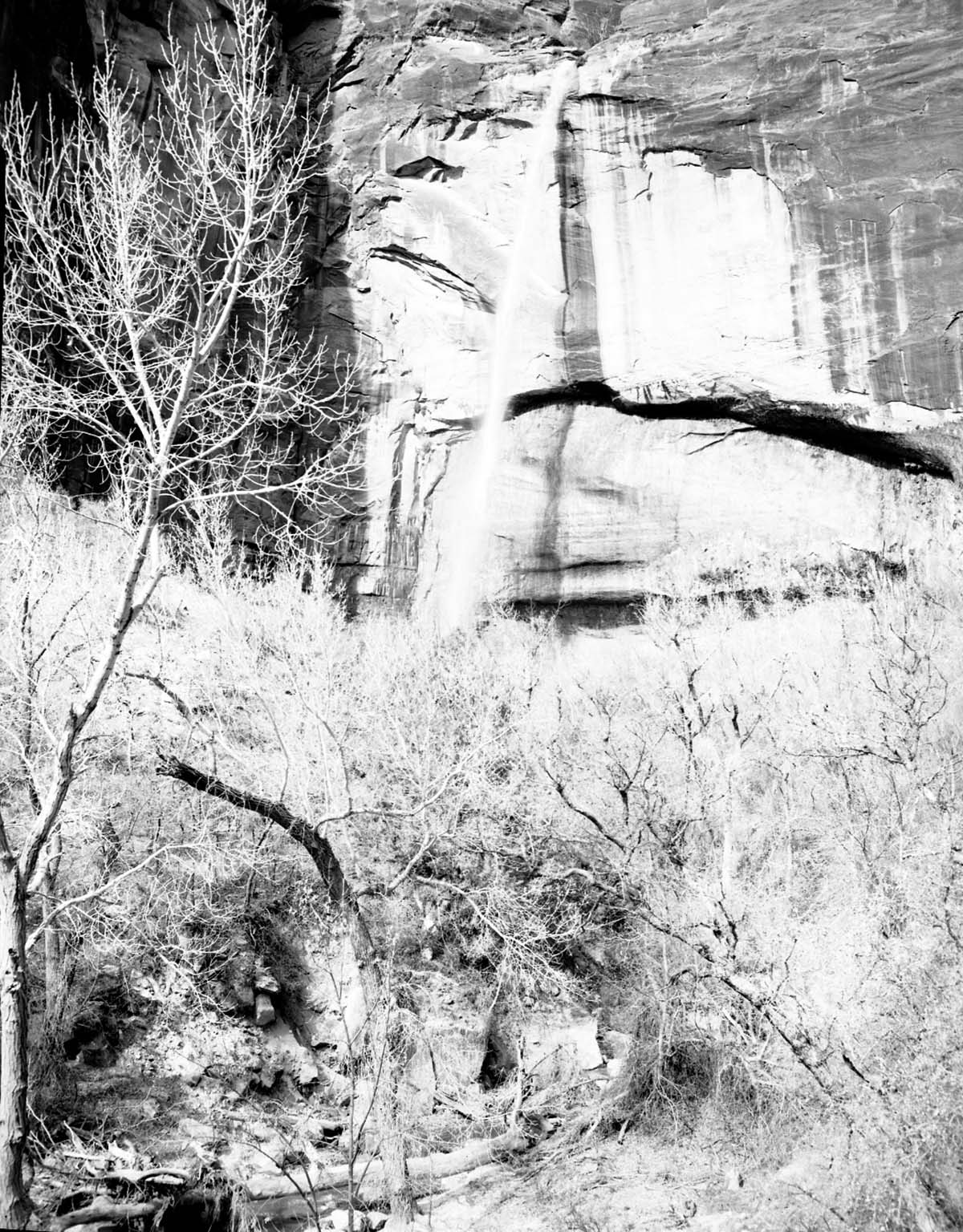 Waterfall at Weeping Rock.