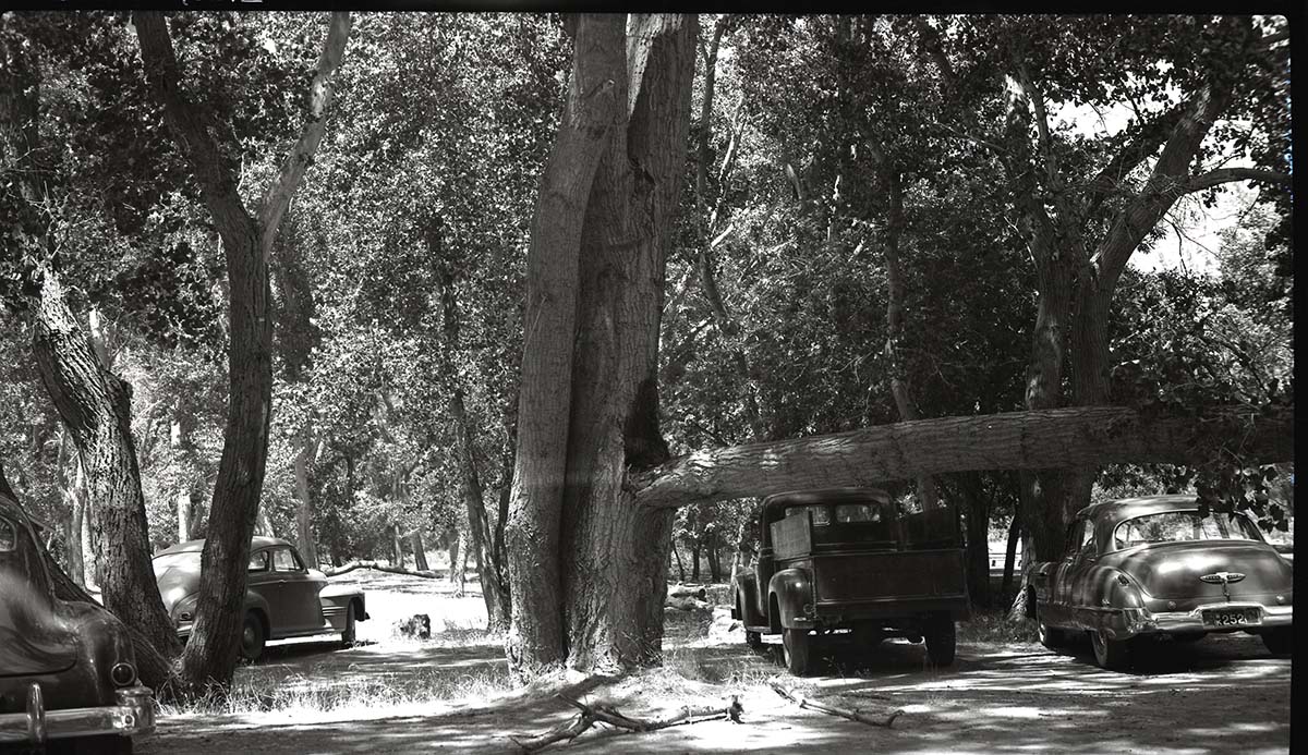 Accident at Zion Lodge