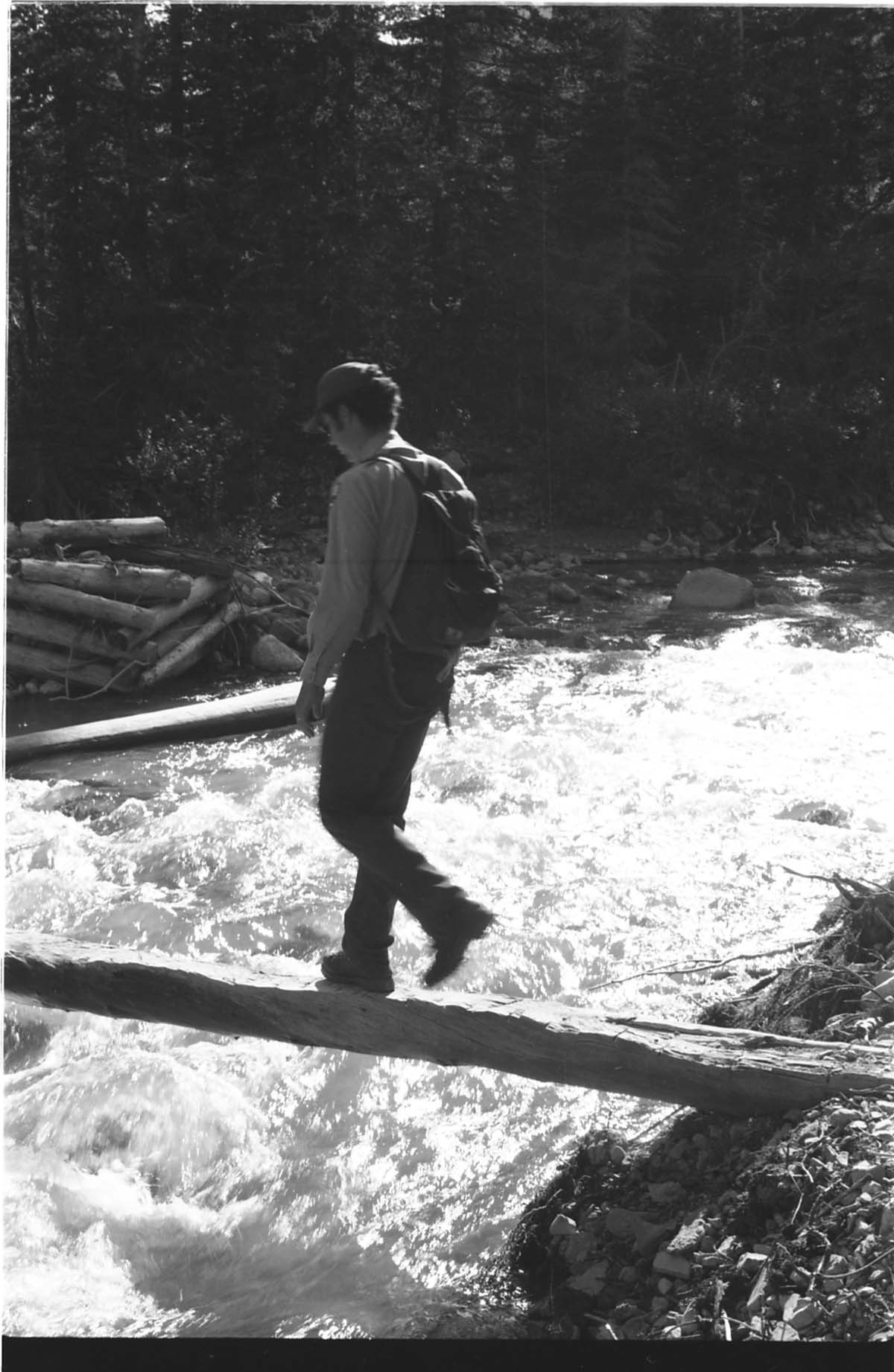 BW Photos of ranger-led hike / yucca talk. Man walking across log bridge.