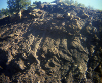 Color Photo of the Sentinel rock slide.