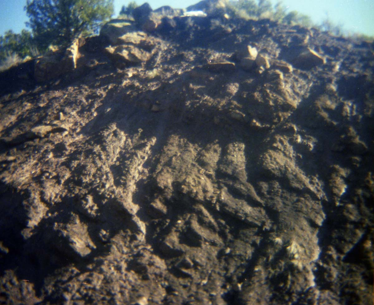 Color Photo of the Sentinel rock slide.