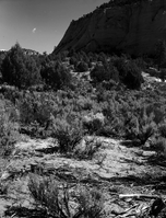A pinyon-juniper forest (foreground). Exhibit 21-P-2.