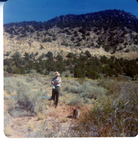 Maintenance activity at Kolob Canyon near visitor center.