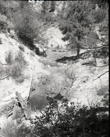 Vandalism of natural resources at Neck Spring, 3 small tanks. Water matters involving Evan S. Lee.