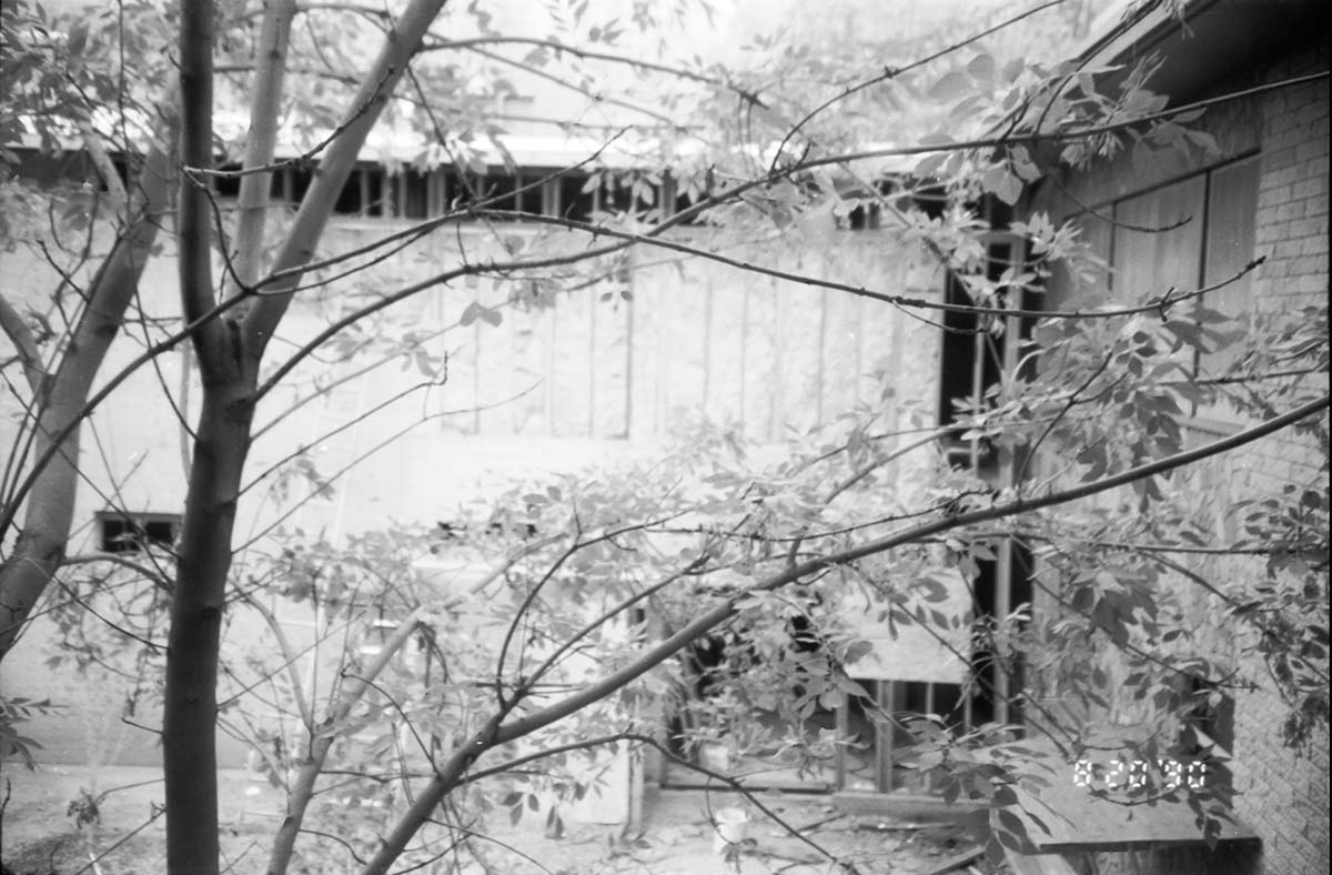 Building through some foliage during the construction of headquarters addition.