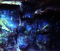 Color Photos of seeps and springs in Zion.