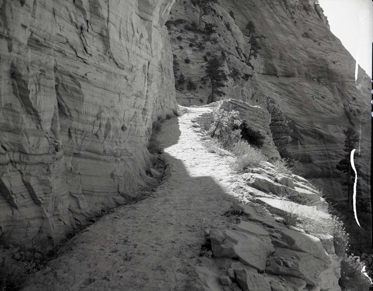 Completed paving of West Rim Trail near shelter cabin.