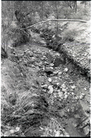 BW Photos of the damage from the Oak Creek flash flood of 1989.