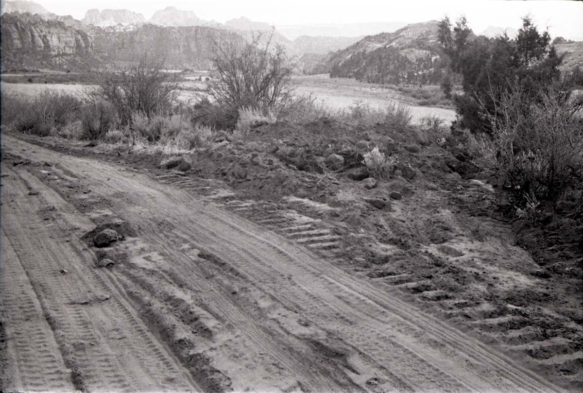 BW photo of the 1937 grazing study 35MM.