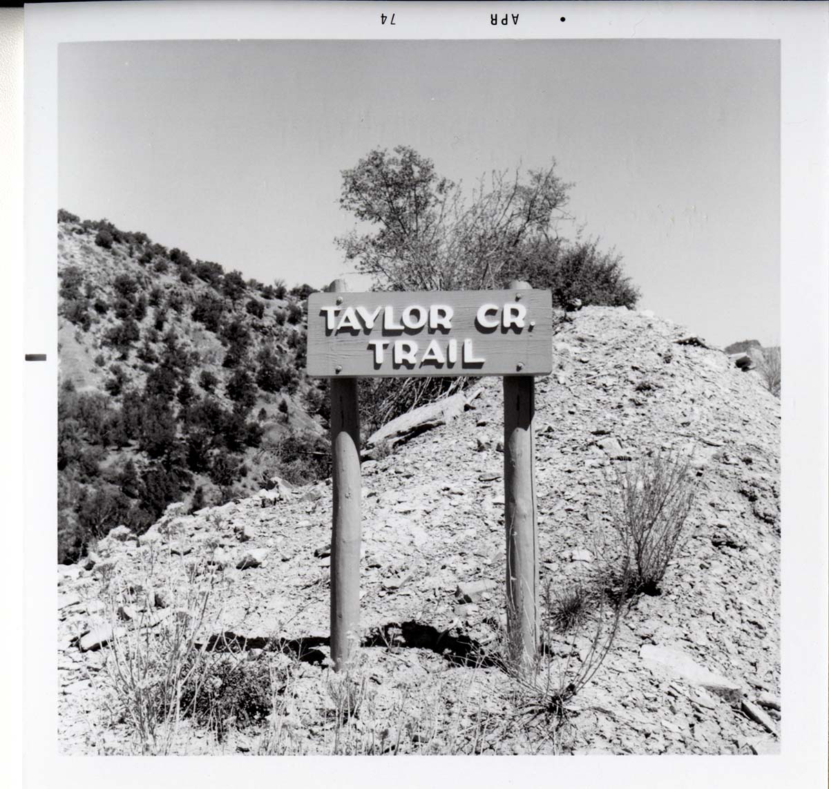 Sign reading 'Taylor Creek Trail' in Kolob Canyon.