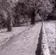 Road along the scenic canyon drive near the Grotto during construction.