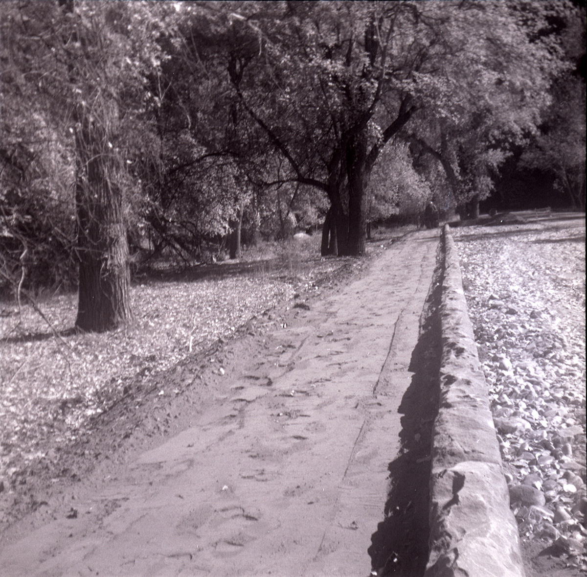 Road along the scenic canyon drive near the Grotto during construction.