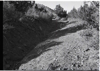 BW photos of rock slides in Kolob Canyons - 35mm.
