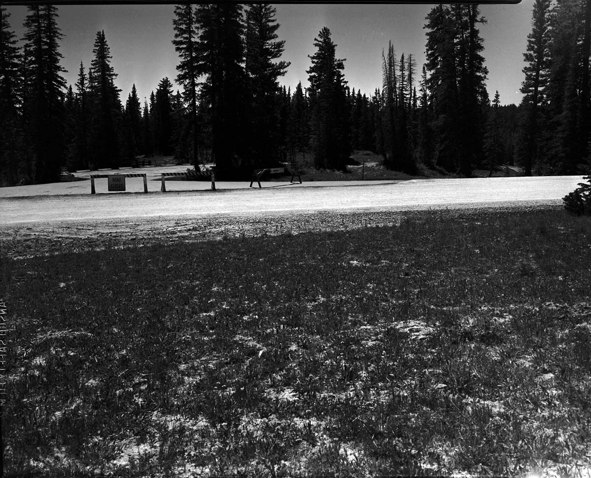 The road leading to campground with closure barricades.