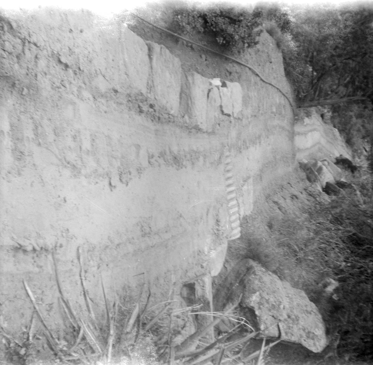 The Emerald Pool trail reconstruction.