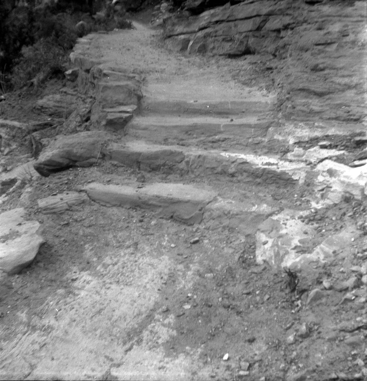 The Emerald Pool trail reconstruction.