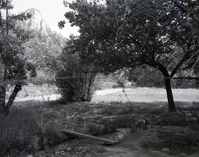 Samuel Crawford property after removal of sheds.