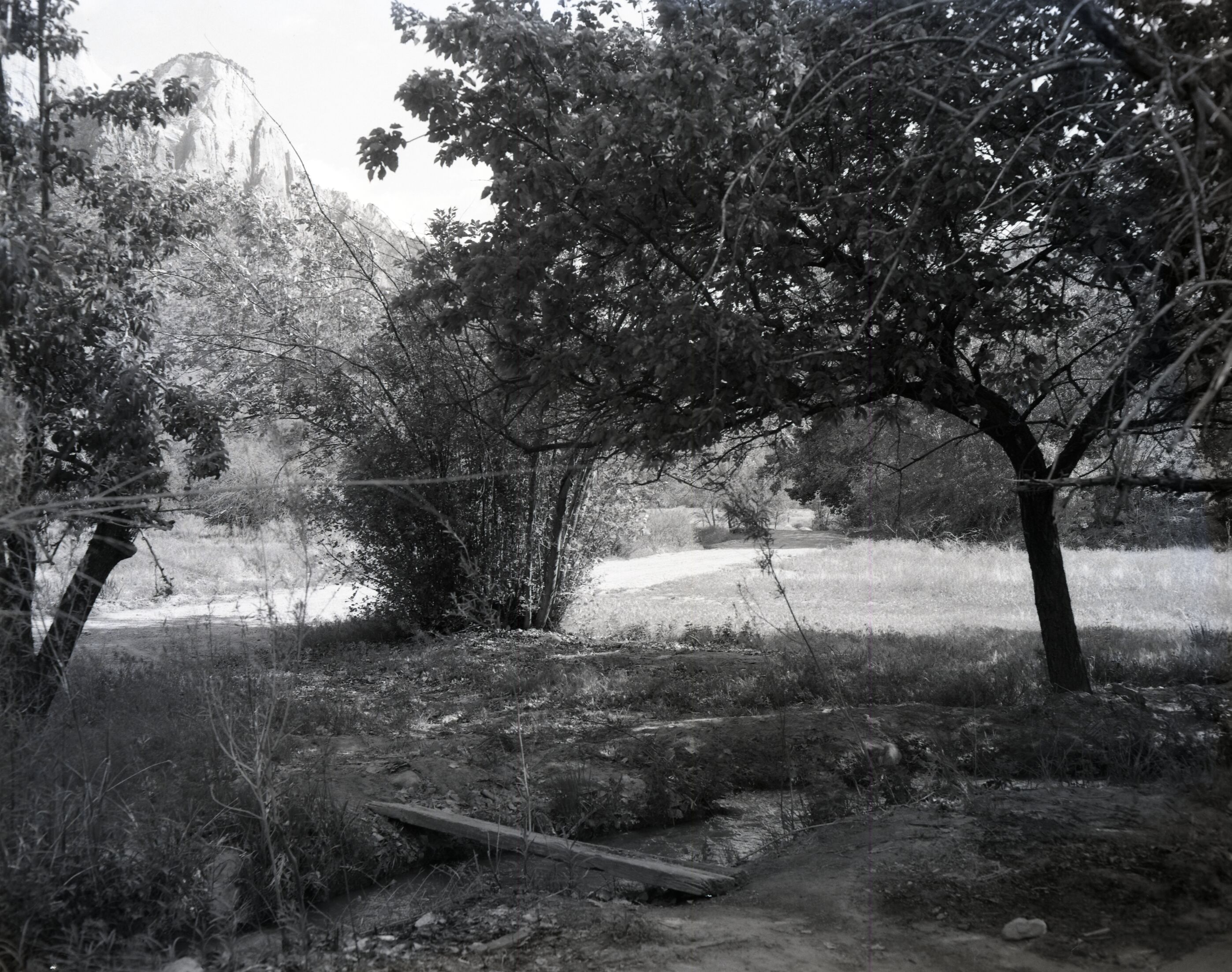 Samuel Crawford property after removal of sheds.