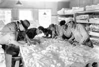 Six Western Museum Laboratory (WML) workers modeling detail on a plaster cast of Zion relief map.