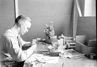 Preparing cactus specimen for cacti diorama to be sent to museum, Zion National Park.