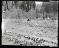 BW photos of the Virgin River Channelization Project near the Zion Lodge.