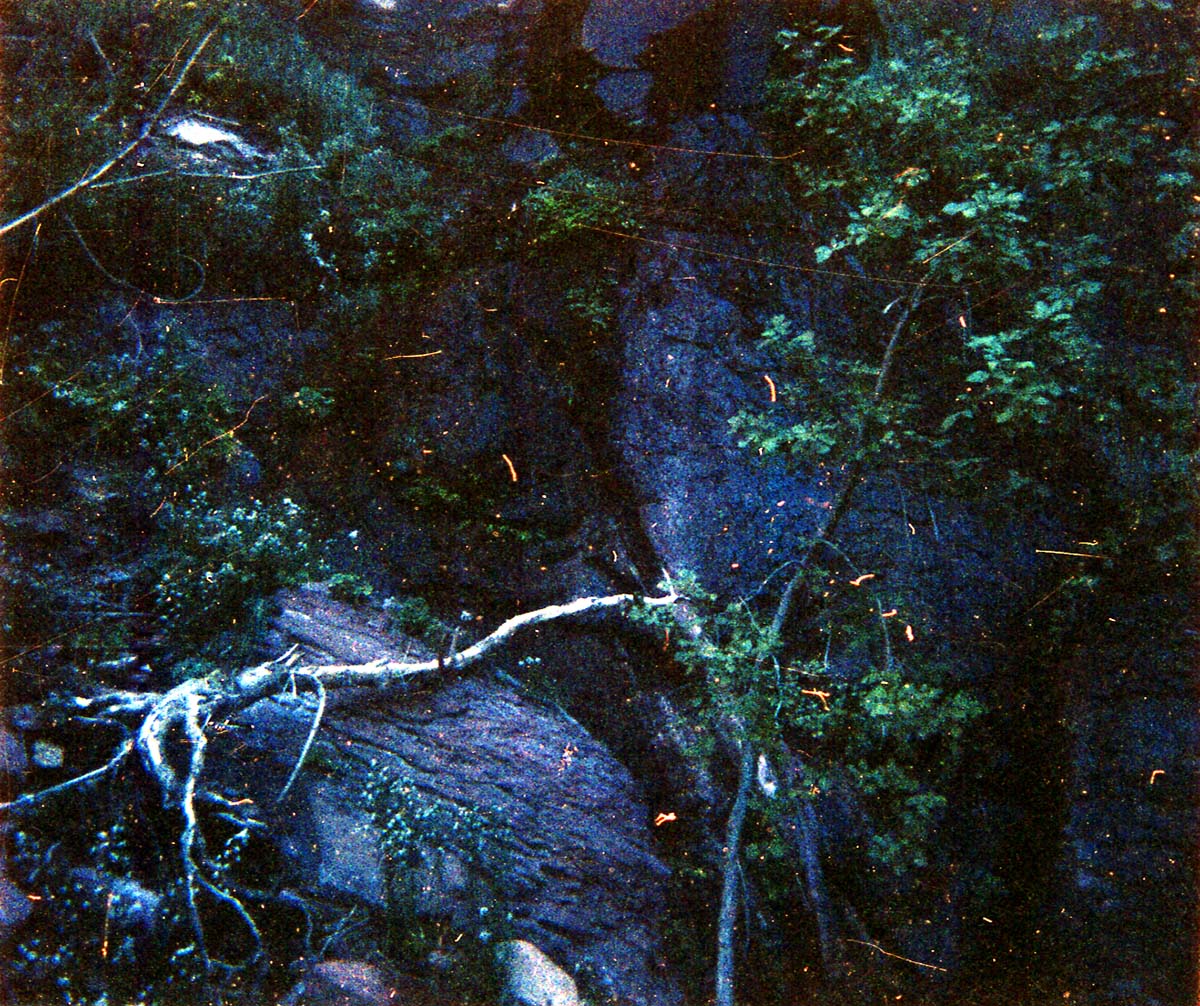 The Temple of Sinawava spring project - scaffolding construction and use.