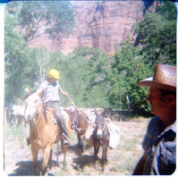 Horse pack-train heading for the East Rim for trail maintenance work.