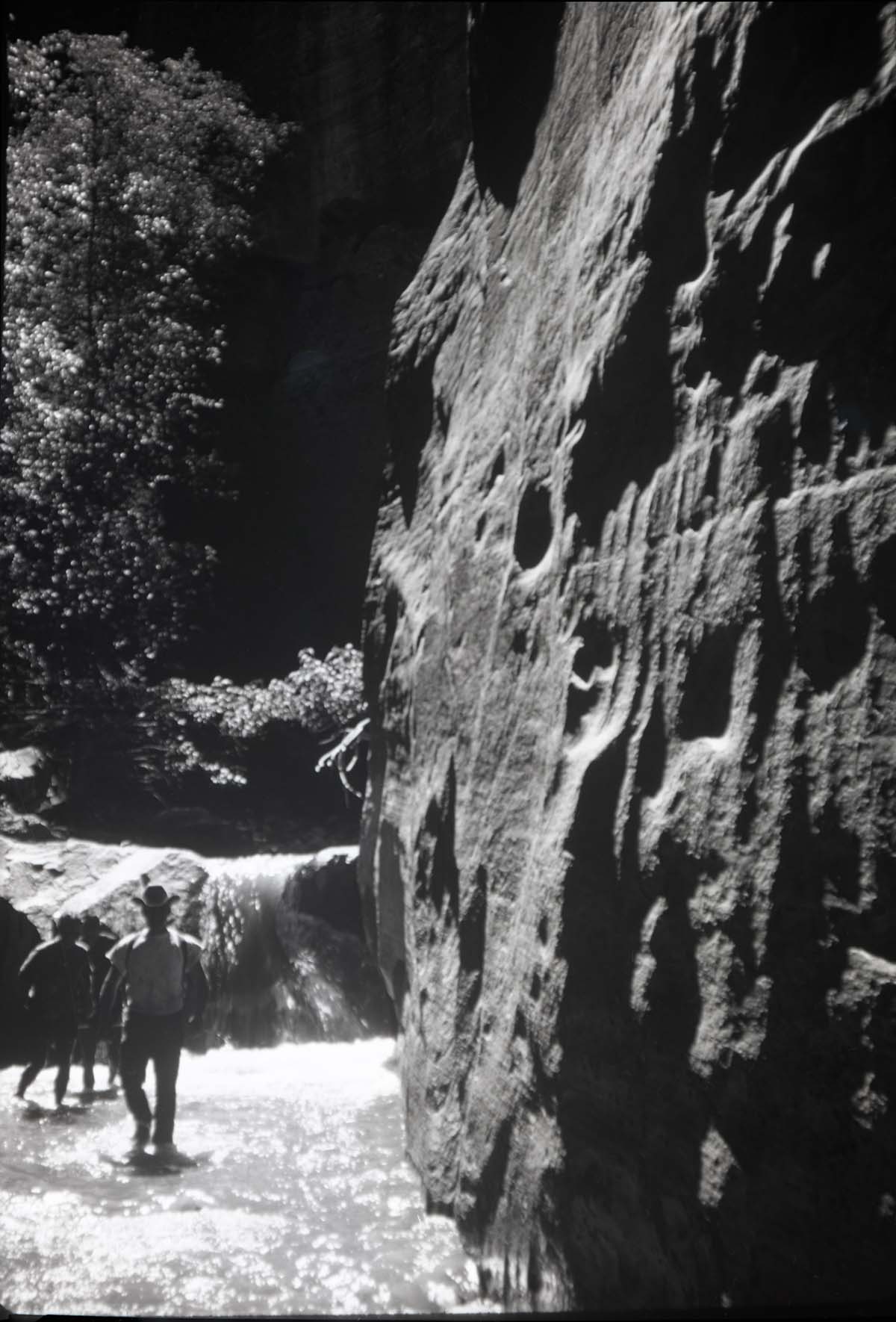 Zion Narrows- waterfalls in Zion Narrows.