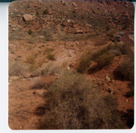 The Springdale water pipeline during construction.