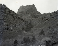 Into south fork of Taylor Creek where first road construction will terminate