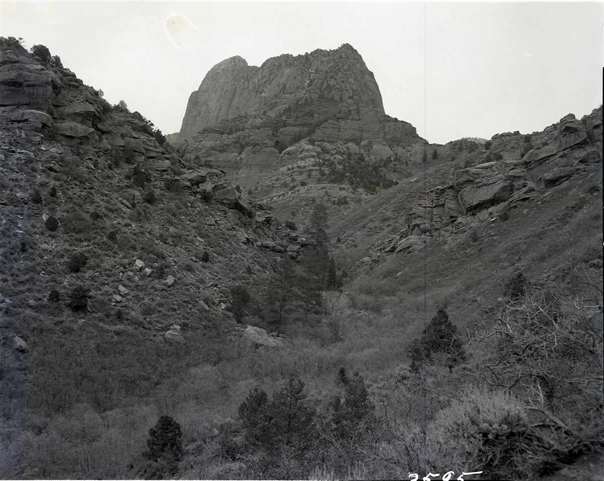 Into south fork of Taylor Creek where first road construction will terminate