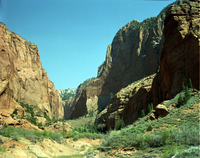 Color Photos of the Kolob Finger Canyons.