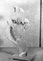 Diorama, was reproduction of cactus, genus Opuntia (Opuntia rhodantha).Created by Civilian Conservation Corps (CCC) workers at the Western Museum Laboratory (WML) on Fulton Street, Berkeley, California.