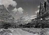 View up canyon from below Zion Lodge. Lodge and cabins in foreground, datura and sunflowers.