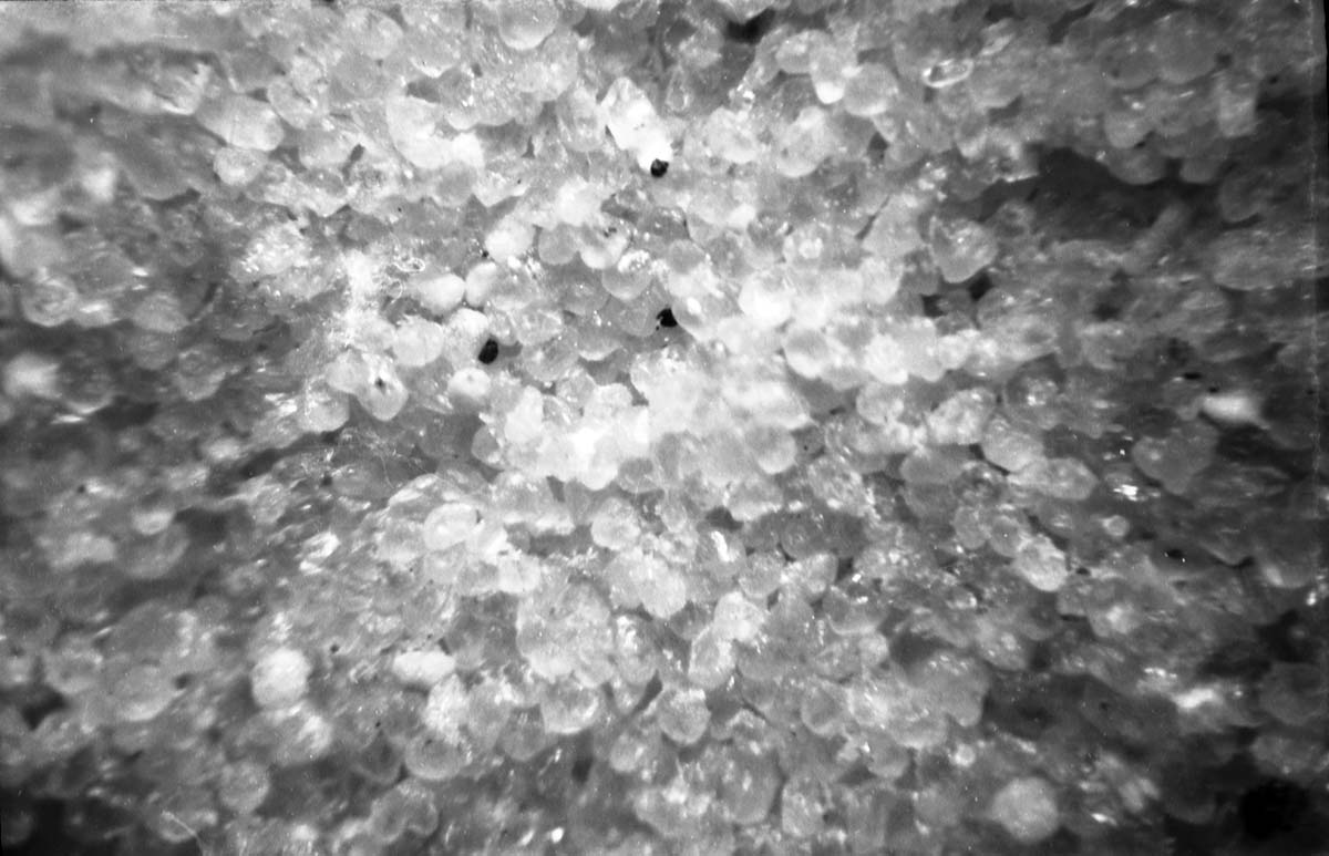 A close up of granules of sand in sandstone. Exhibit 10-P-2. [Nearly identical to ZION 14705 (negative number 3113b) and ZION 14722 (negative number 3113c).]
