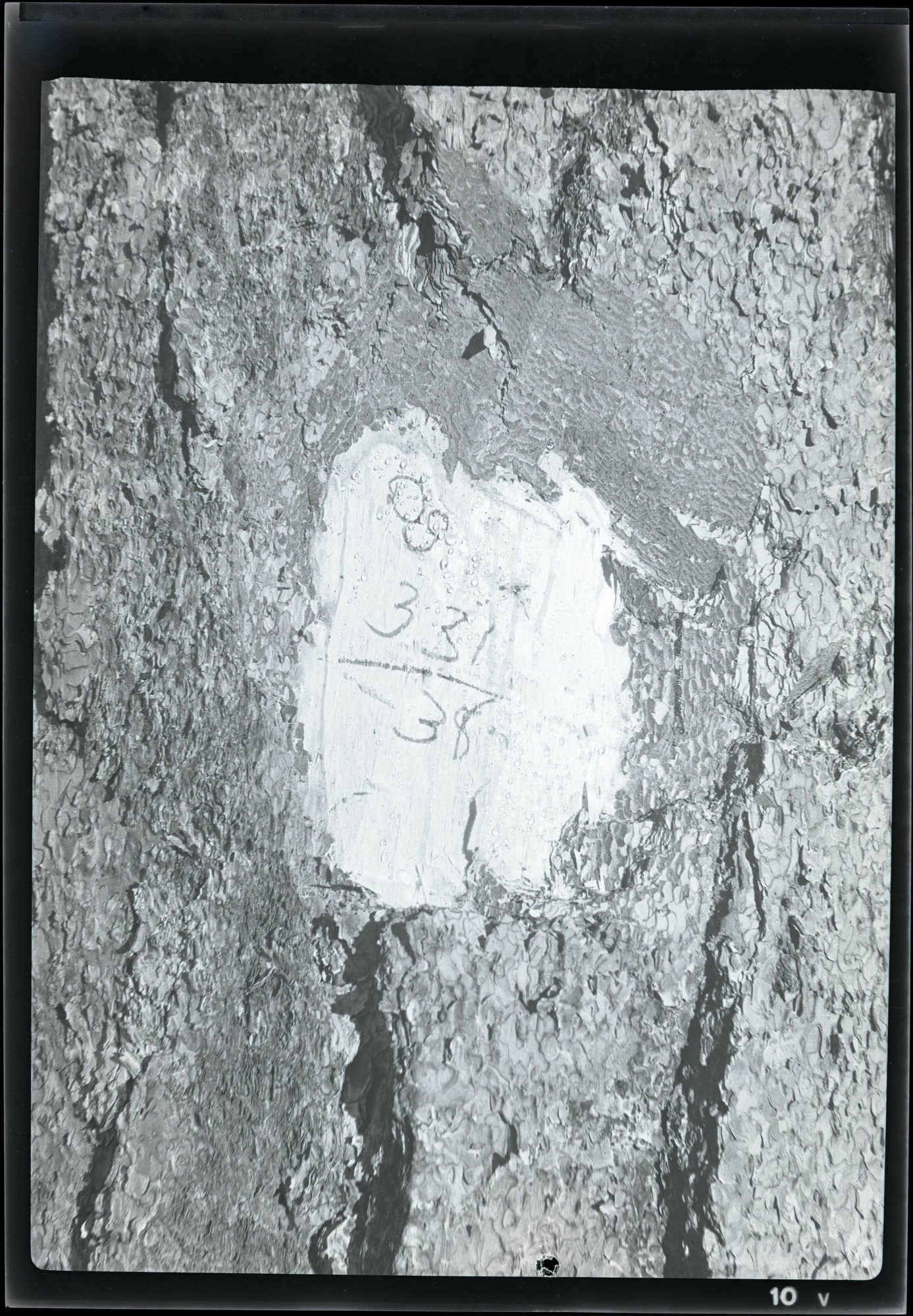 BRCA Museum and Archives Image