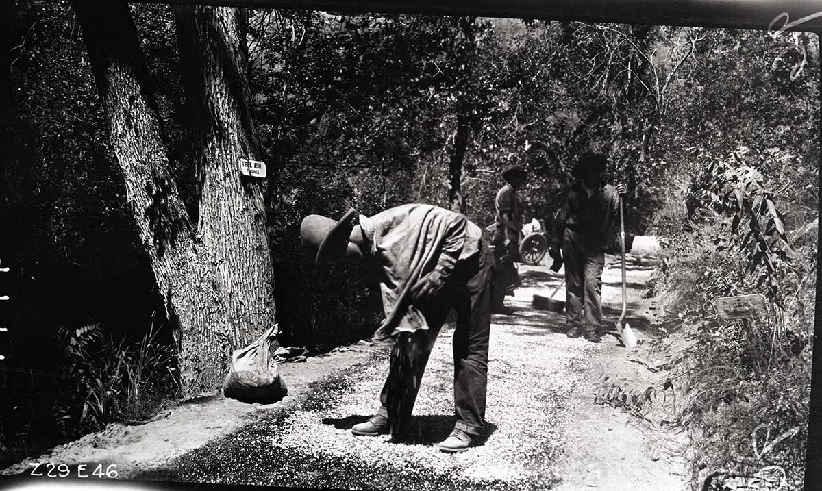 Narrows Trail construction with workmen spraying bitumuls 150 on the locking course.