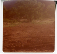 The Springdale water pipeline during construction.