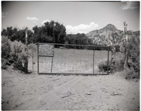 BW photo of the 1937 grazing study - 4x5.