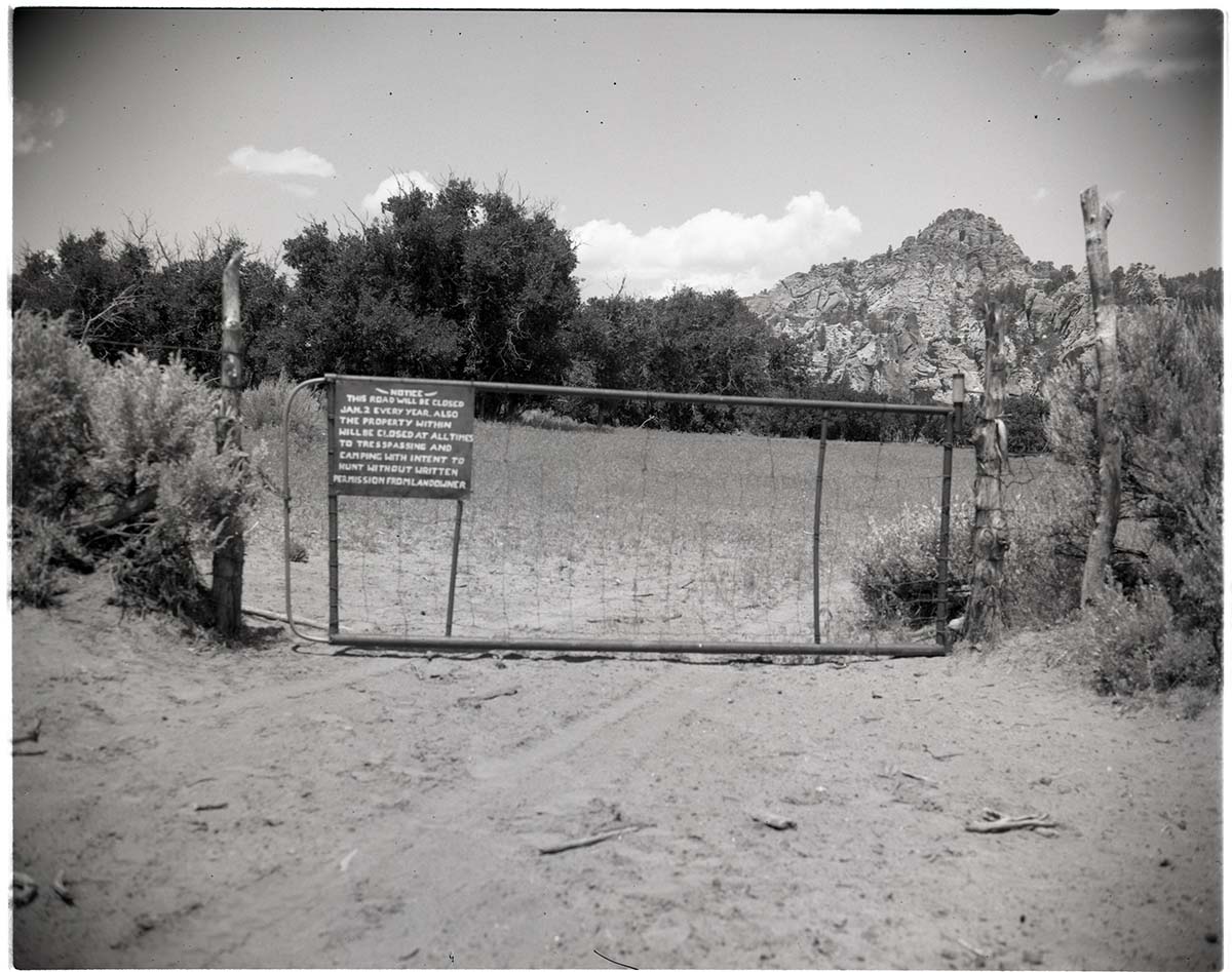 BW photo of the 1937 grazing study - 4x5.