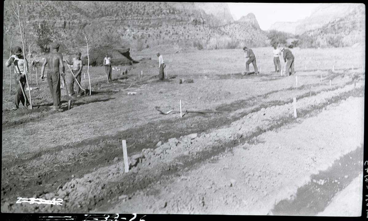 Planting trees by Civilian Conservation Corps (CCC) workers in South Campground.